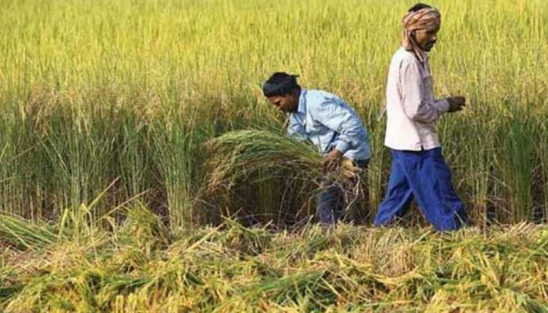 राजस्थान किसान कर्ज माफी लिस्ट